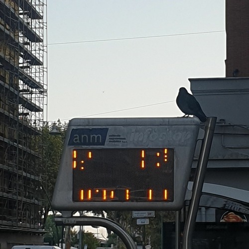 fruity loops ( graze a fruity loops).wav