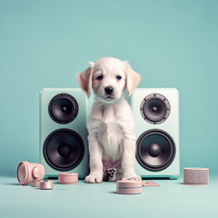 Melodías De Serenidad Canina De Lofi