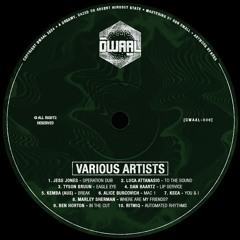 PREMIERE: Marley Sherman - Where Are My Friends [DWAAL]