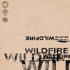 Wildfire (ft. Miima)