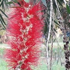 25.07.2022 - Cap. XII - Amai os Vossos Inimigos - Pagar o Mal com o Bem (7)