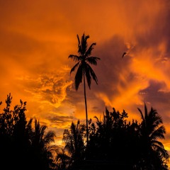 Sunset Ft. John Concepcion