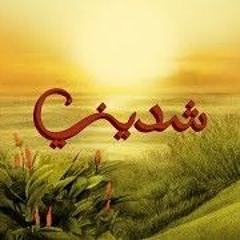 TUL8TE - Shedeeny I تووليت - شديني