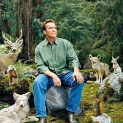 Nature Is Healing