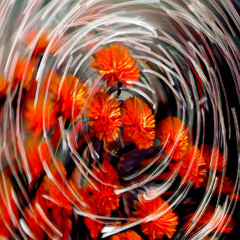 СОЛНЕЧНЫЙ   ВЕТЕР