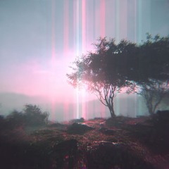 Soft Around The Edges