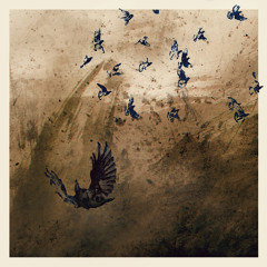 A Moment of Stillness