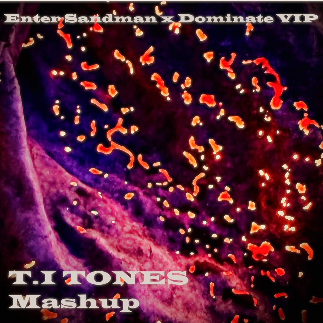 Enter Sandman X Dominate VIP T.I TONES Mashup