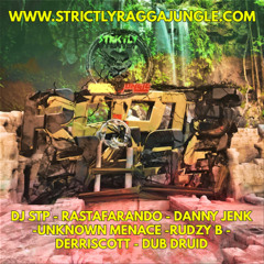 ROOTS N BASS PROMO MIX BY DJ STP (FREE ALBUM)