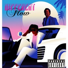 DIFFERENT FLOW Ft King Shy