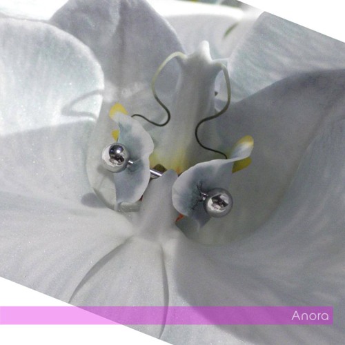 Anora (INTRO) - 9mice