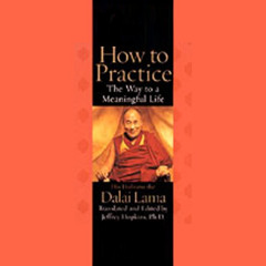 [Free] PDF 📤 How to Practice: The Way to a Meaningful Life by  Jeffrey Hopkins PhD,H