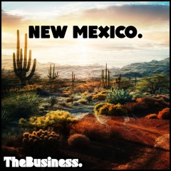 New Mexico. - TheBusiness.
