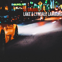 Lake & Lyndale Lamborghini 2
