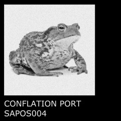 SAPOS004 - Conflation Port