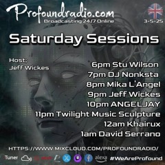 #320  Profound Radio DnB @djstuwilson