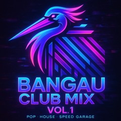 Club mix Vol.1