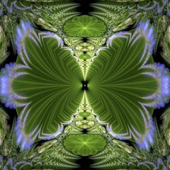 Plantas Que Entortam A Mente - 177 (organic full power psychedelics)