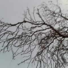 Poivre Noir Piment Rouge DIM 15 MAR 2026