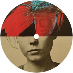 maig records around the world