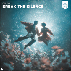Break The Silence