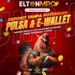 Baby Don't Go X Sayang Culik Aku Donk Sound Viral Tiktok 2025 #eltonmpo