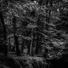 Smokin Roaches Ft. Kodak Black