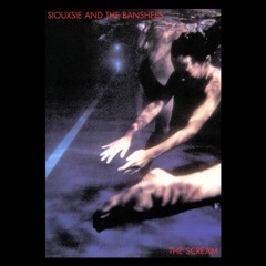 Siouxsie And The Banshees Nocturne Rar Download