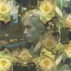 Iridescence, An elusive shadow (难以捉摸的影子)