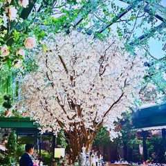 Matt Silliman Afro and Deep House Music LIVE from Garden Room