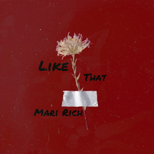 Mari Rich- Like That
