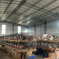 Dr. Jorge Burjel 160725