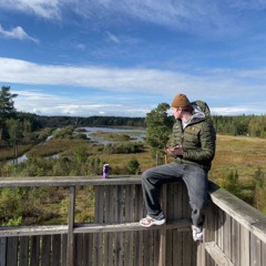 Bumppaa mun head vaik ei oo musaa