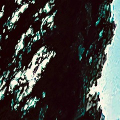 LeatherJacketFLIP_SEAN_BODEGA