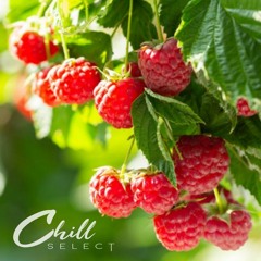 stizzzy - raspberries