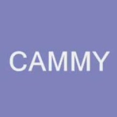 dj cammy - someone like you