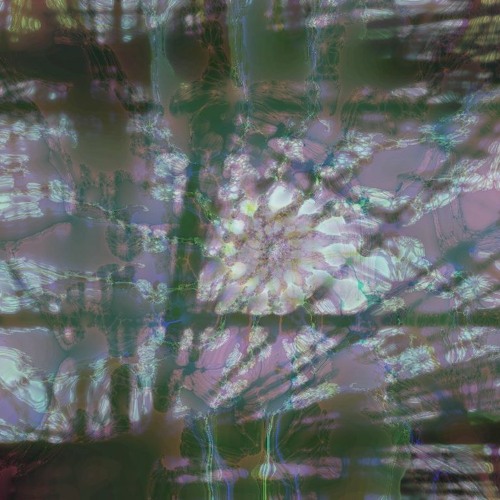 Draconian Calmness Created An Ocean Of Trauma