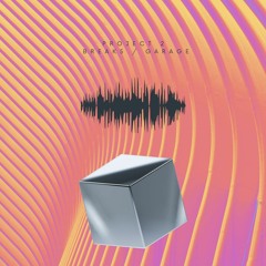 Project 2 - Breaks / Garage 2022 Vol 1