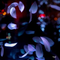 Corps - Yseult - Cover by Melange