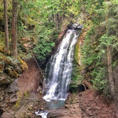 Fletcher Falls Reverie