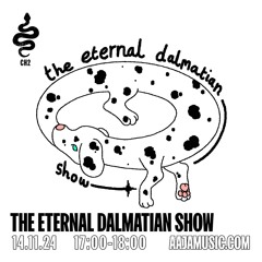 The Eternal Dalmation Show - Aaja channel 2 - 14 11 24