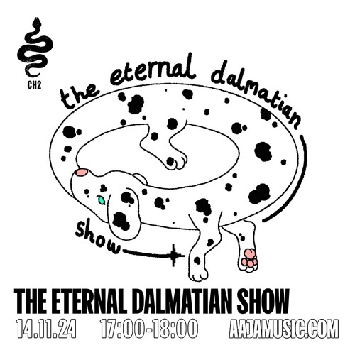 The Eternal Dalmation Show - Aaja channel 2 - 14 11 24