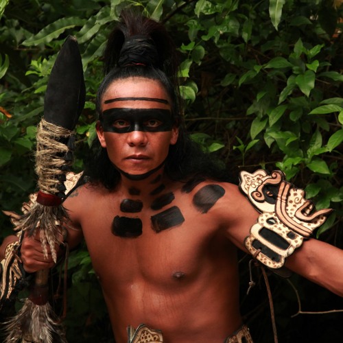 A walk in the forest. (mayan dream)