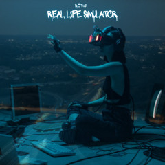 Real Life Simulator