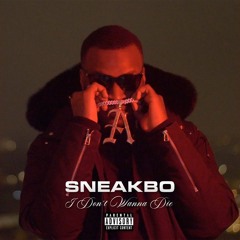 Sneakbo - I Don't Wanna Die [MUSIC VIDEO] @Sneakbo