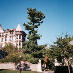 savior complex - phoebe bridgers [cover]