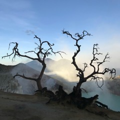 syndae - episode 722