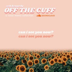 Can I See You Now? (Original - Off The Cuff exclusive)