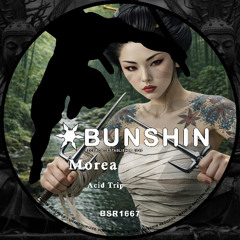 Morea - Acid trip (BSR1667 SNIPS)