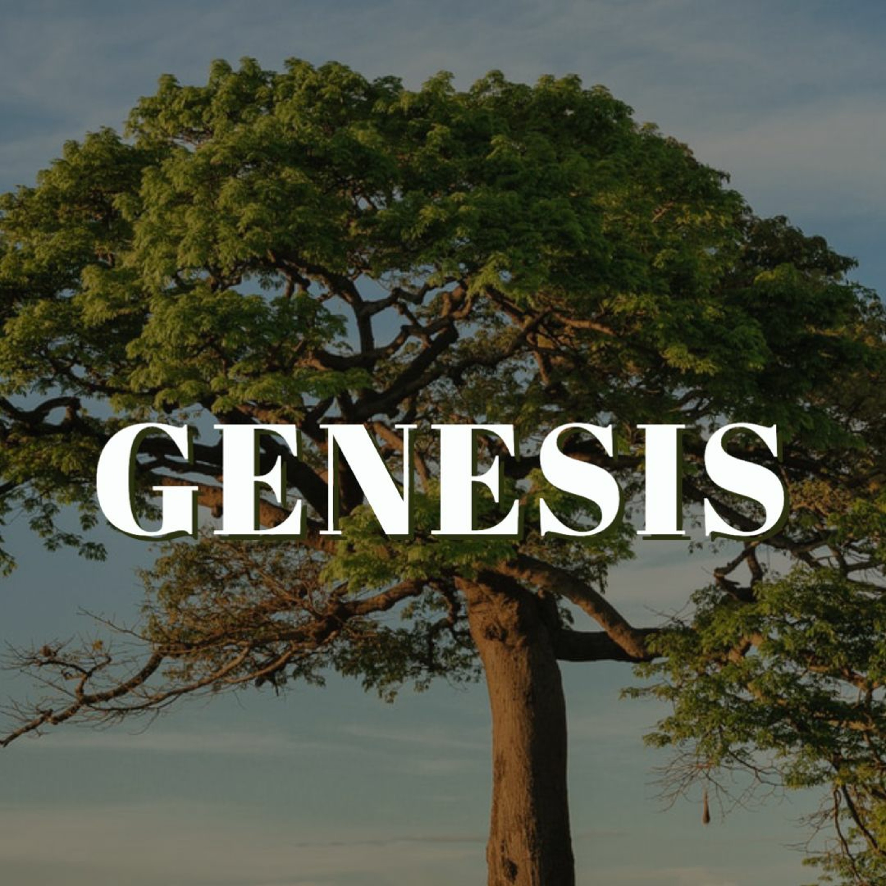 Genesis: Generations & Nations episode artwork